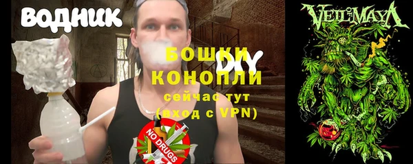 молекула духа Балахна