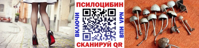 Галлюциногенные грибы мухоморы  hydra ССЫЛКА  Отрадное 